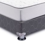 Conjunto-Cisne-Pocket-Silver-King