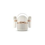 parlante-philips-TAS2509-20W_