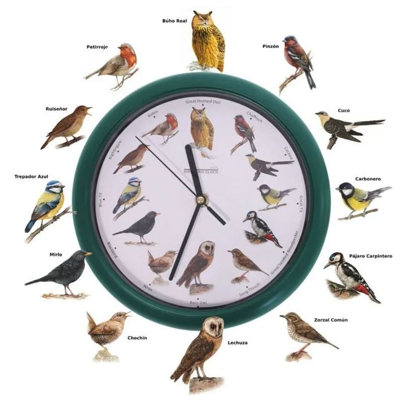 Reloj-de-Pared-Canto-de-Pajaros---Starlyf-Birdsong